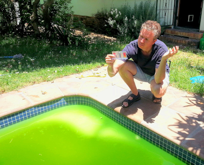 Man worrying over a pool that has turn green from algae.